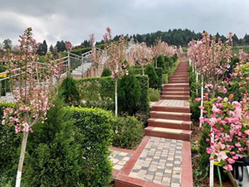 园区环境