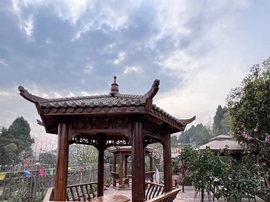 环境5