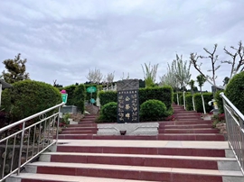 墓型8