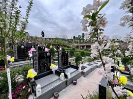 墓型6