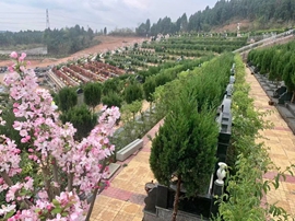环境2