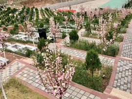 环境1