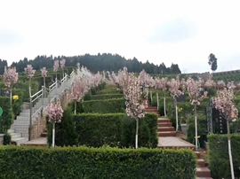 园区环境
